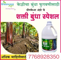Shakti Bundha Special