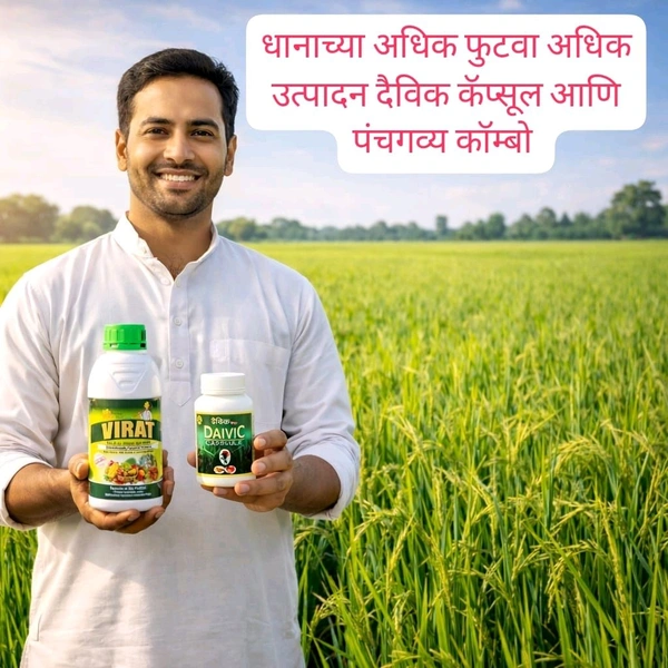 Daivik Capsule Panchgvya