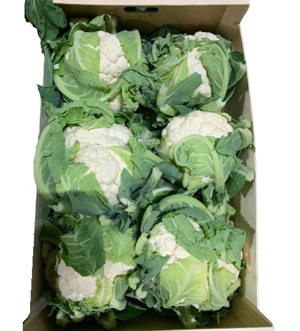 Cauliflower|قرنبيط  - Box=5Kg, Box, 🇮🇷Iran