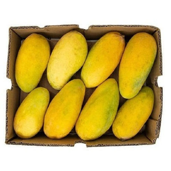 Mango sindhri|مانجو سندري - 2Kg, Box, 🇵🇰Pakistan