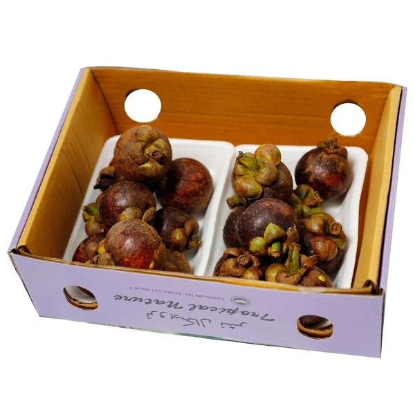 Mangosteen|مانغوستين - Box=2Pkt, Box, 🇮🇩Indonesia