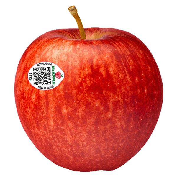 Apple Royal Gala NZ|تفاح رويال جالا نيوزيلندا - 500g, 🇳🇿New Zealand