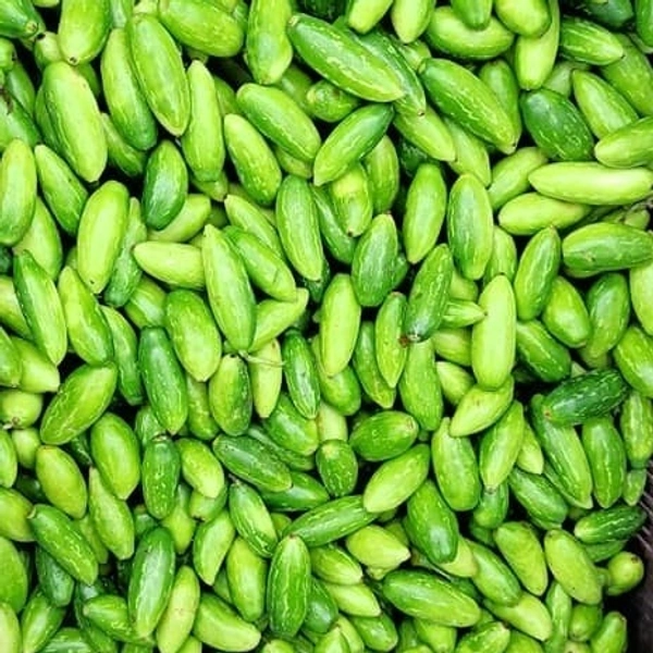 Tindly|بلطف - Box=3Kg, Box, 🇮🇳India