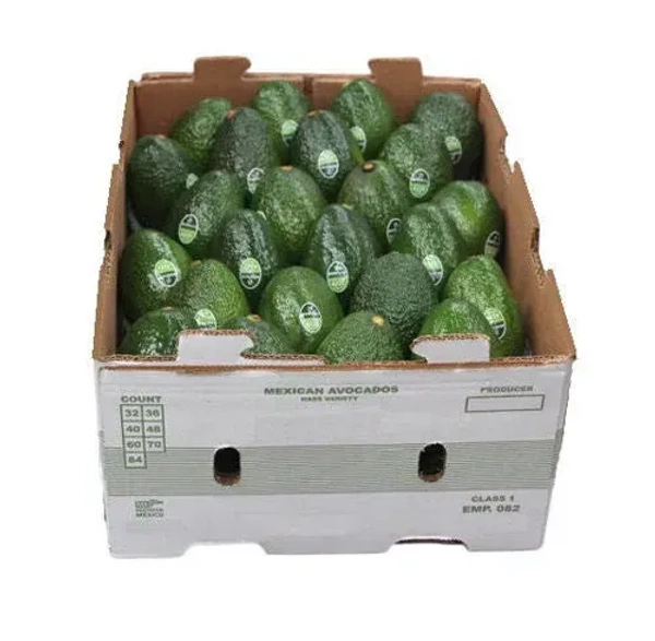 Avocado|الأفوكادو المكسيك - Box=10Kg, Box, 🇲🇽Mexico