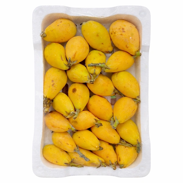 Askadinya Box|أسكدينيا - 🇾🇪Yemen