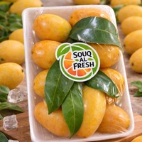 Mariam Plum Pkt|برقوق مريم