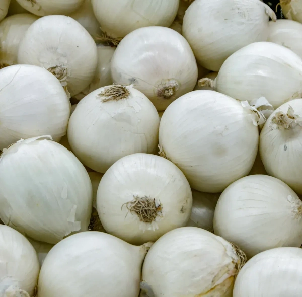 Onion White|البصل الأبيض - Bag=10Kg, Bag, 🇮🇷Iran