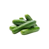 Cucumber 500g|خيار