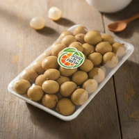 Longon Pkt|لونجون