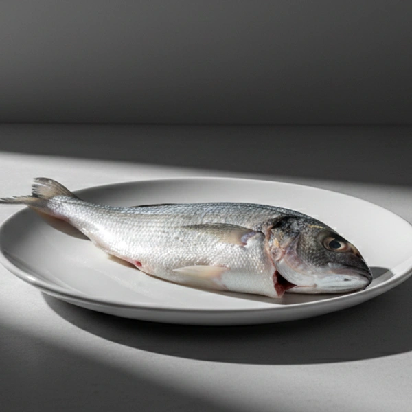 Sea Bream| سي بريم - 500g-600g, Whole Cleaned