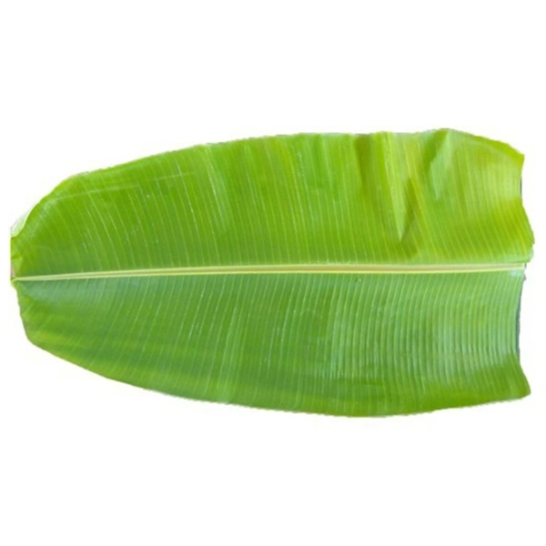 Banana leaf|ورقة الموز - Pc, 🇮🇳India