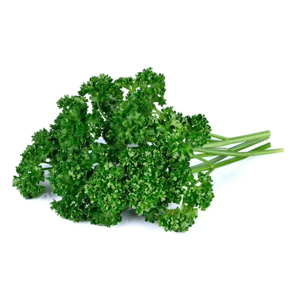 French Parsley|البقدونس الفرنسي - 100g