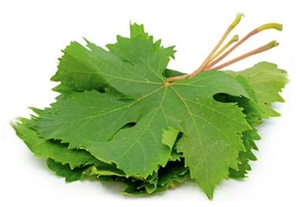 Grapes Leaves|ورق عنب - Pkt