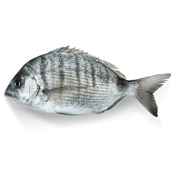 Sea Bream| سي بريم - 500g-600g, Whole