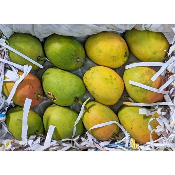 Mango Alphonso|مانجو ألفونسو - Box, 🇮🇳India