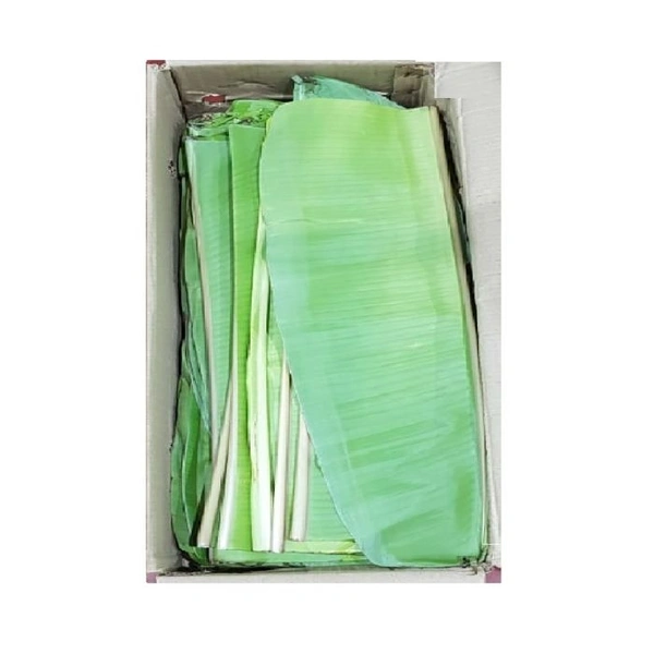 Banana leaf|ورقة الموز - Box=50Pcs, Box, 🇮🇳India