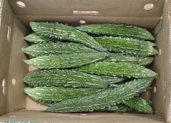 Karela|كاريلا - Box=3.5Kg, Box, 🇮🇳India