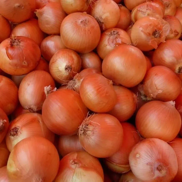 Onion Brown|البصل البني - Bag=20Kg, Bag, 🇮🇷Iran
