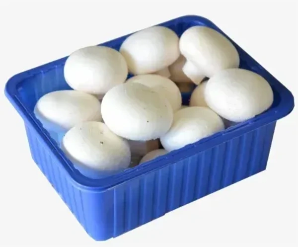 Button mushroom|فطر أبيض - 250g, Pkt, 🇦🇪U.A.E