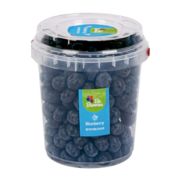 Blue berry Bucket|توت أزرق - 500g