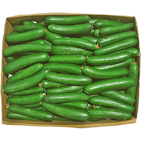 Cucumber |خيار - Box=15Kg, Box