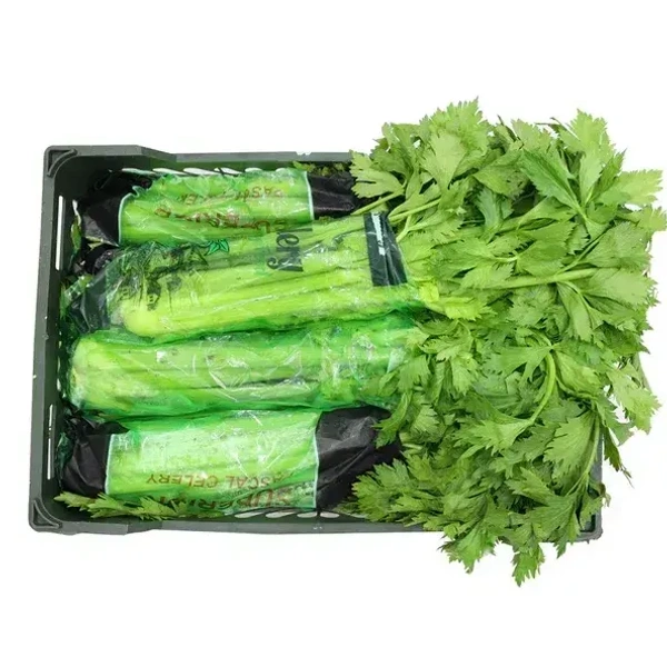 Celery|كرفس - Box=6Kg, Box, 🇮🇷Iran