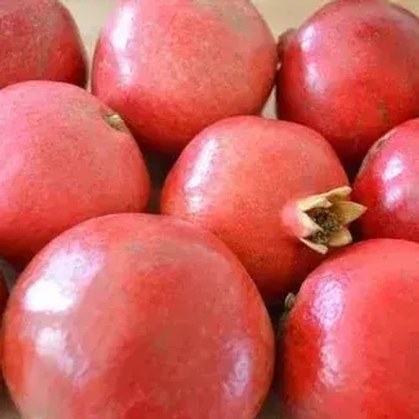 Pomegranates|رمان بيرو - Box=13Kg, Box, 🇵🇪Peru