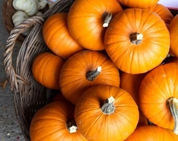 Pumpkin India|اليقطين الهند - Bag=6Kg, Bag, 🇮🇳India
