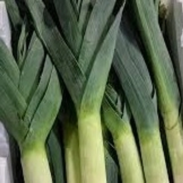 Leeks|كراث - Bag=5Kg, Bag
