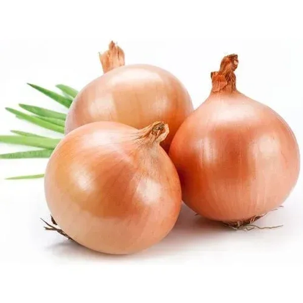Onion Brown|البصل البني - 500g, 🇮🇷Iran