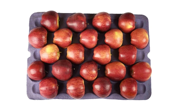 Apple Red|التفاح الأحمر أمريكا - Tray, 🇺🇸U.S.A
