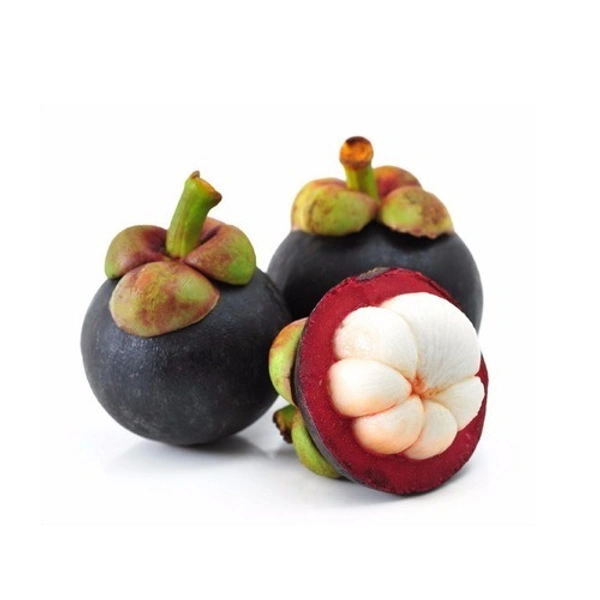 Mangosteen|مانغوستين - Pkt, 🇮🇩Indonesia