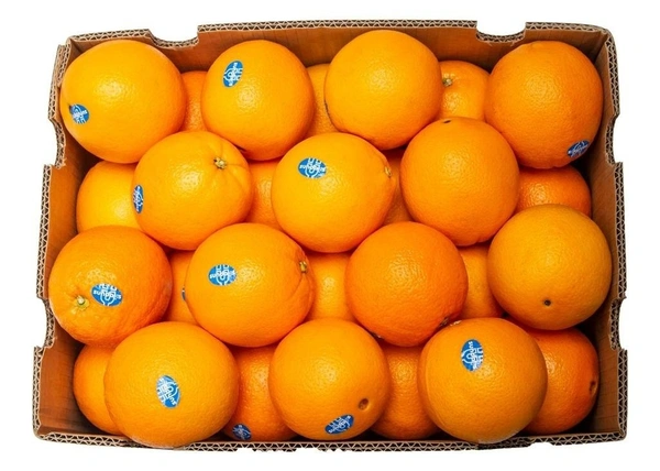 Orange Navel|برتقال أبو صرة أفريقيا - Box=15Kg, Box, 🇿🇦Africa
