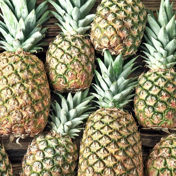 Honey Pineapple|عسل الأناناس - Box=8Pc, Box, 🇰🇪Kenya