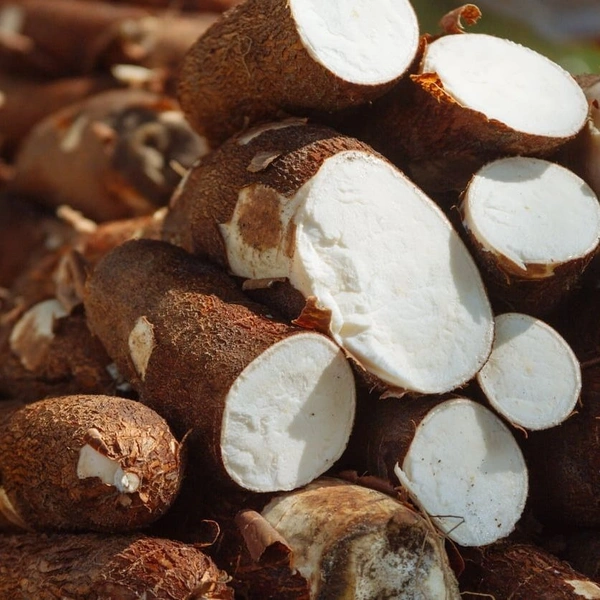 Tapioca|التابيوكا - Box=5Kg, Box, 🇱🇰Sri Lanka