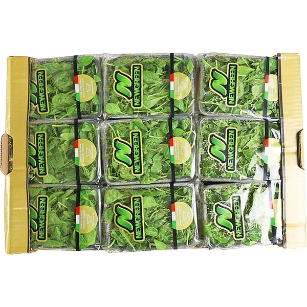 Baby Spinach|بيبي سبانخ - Box=8Pkt, Box