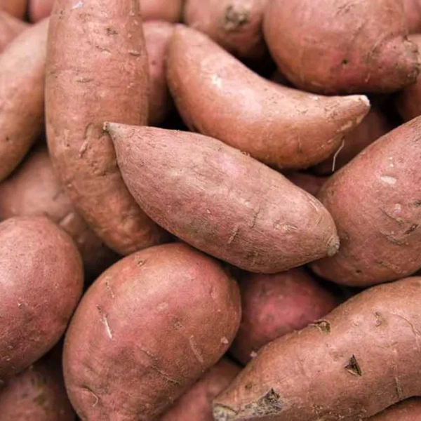 Sweet Potato White|البطاطا الحلوة البيضاء - Box=5Kg, Box, 🇪🇬Egypt
