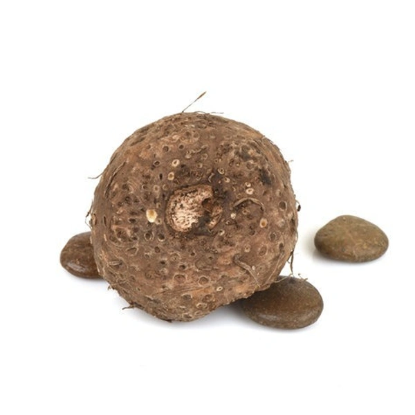 Suran|سوران - 1.5Kg-1.8Kg, Pc, 🇮🇳India