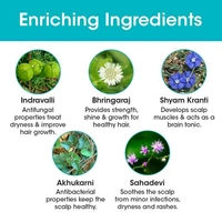 T.A.C the Ayurveda TAC - The Ayurveda Co. Dashapushpadi Ayurvedic Baby Shampoo For Hair Wash, Anti-fungal, Hair Growth with 100% Natural Ingredients, All Hair Types, 200ml