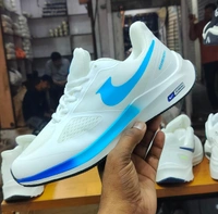 Nike's Pegasus or Air Zoom running shoe