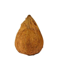 Coconut (नारियल) 1 Pcs 