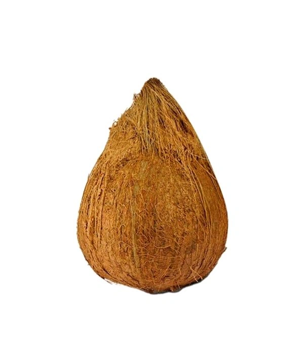 Coconut (नारियल) 1 Pcs 