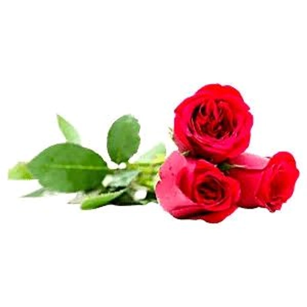 Rose (गुलाब)  Per Piece 