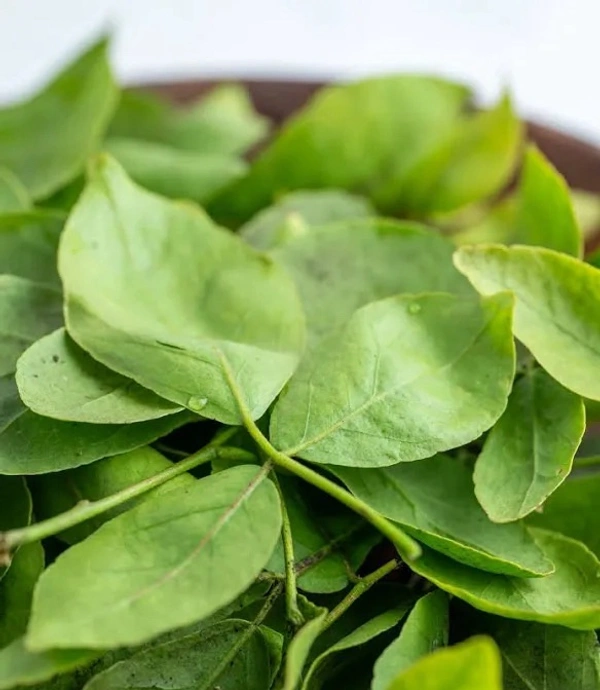 	Bel Patra – 21 leaves