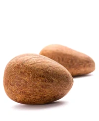  Gari Gola(गरी गोला)