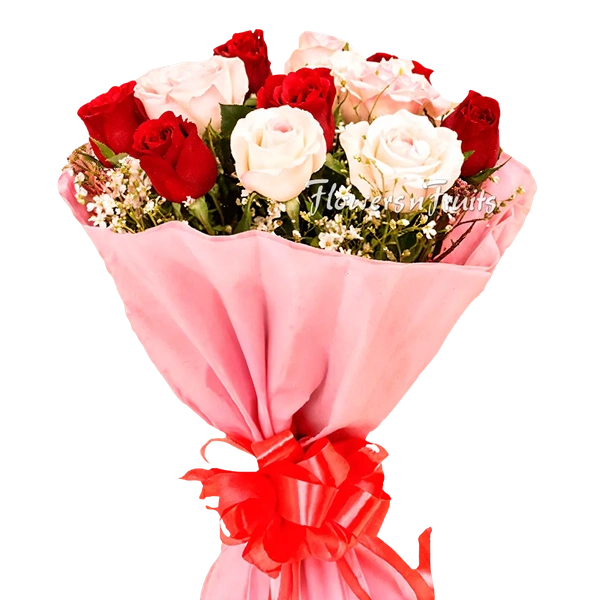 Red & White Rose