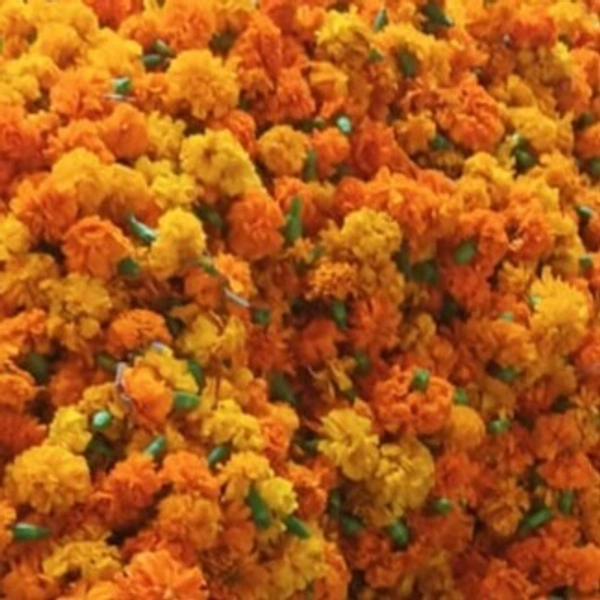 Marigold Desi-Genda (loose)