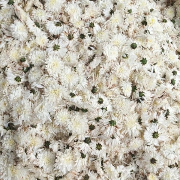 White Guldavari flower