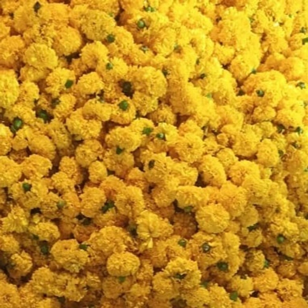 Marigold Yellow (loose)