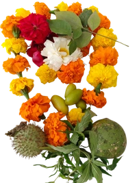 Mahashivratri Pooja / Monday Pooja Flower Pack